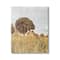 Stupell Industries Countryside Farm Meadow Tall Grass Summer Landscape Photography Canvas Wall Art